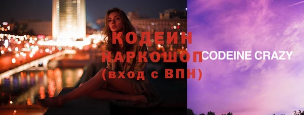 хмурый Алексин