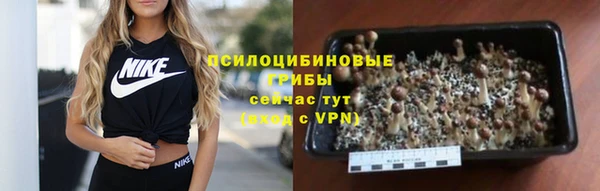 хмурый Алексин
