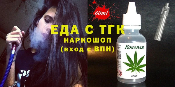 хмурый Алексин