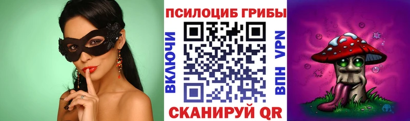 цена   Орехово-Зуево  даркнет состав  Псилоцибиновые грибы Psilocybine cubensis 